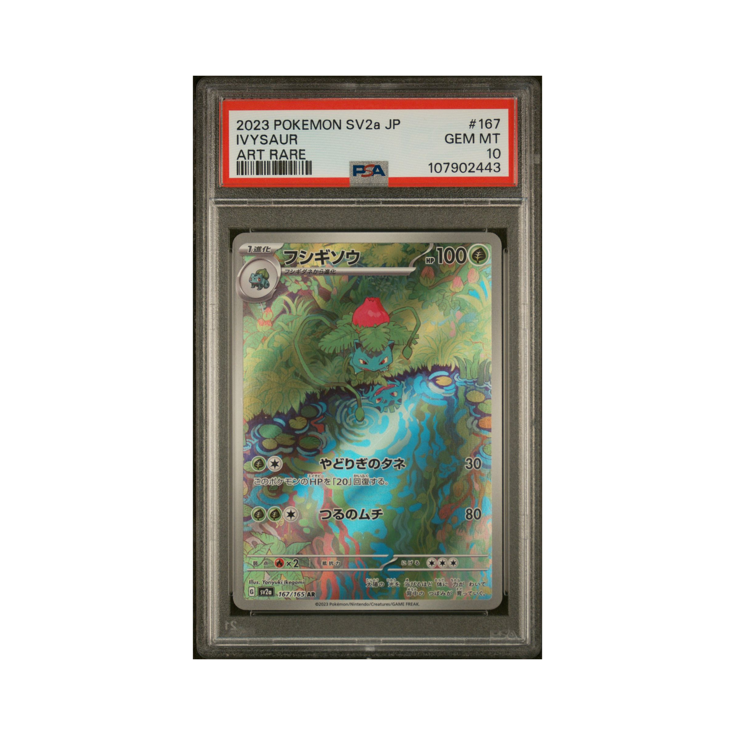 2023 Pokemon JAPANESE SV2A-Pokemon CARD 151 IVYSAUR #167 PSA 10