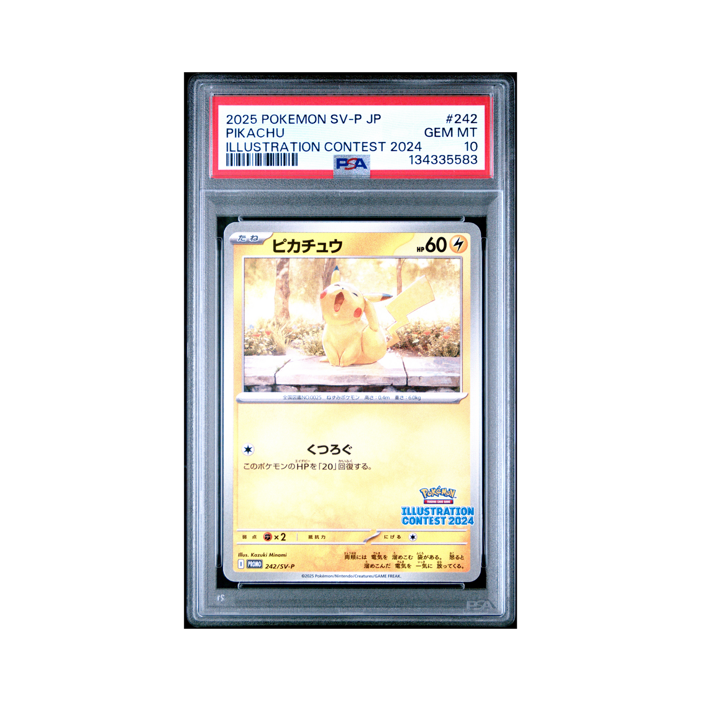 2025 Pokemon JAPANESE SV-P PROMO PIKACHU #242 PSA 10