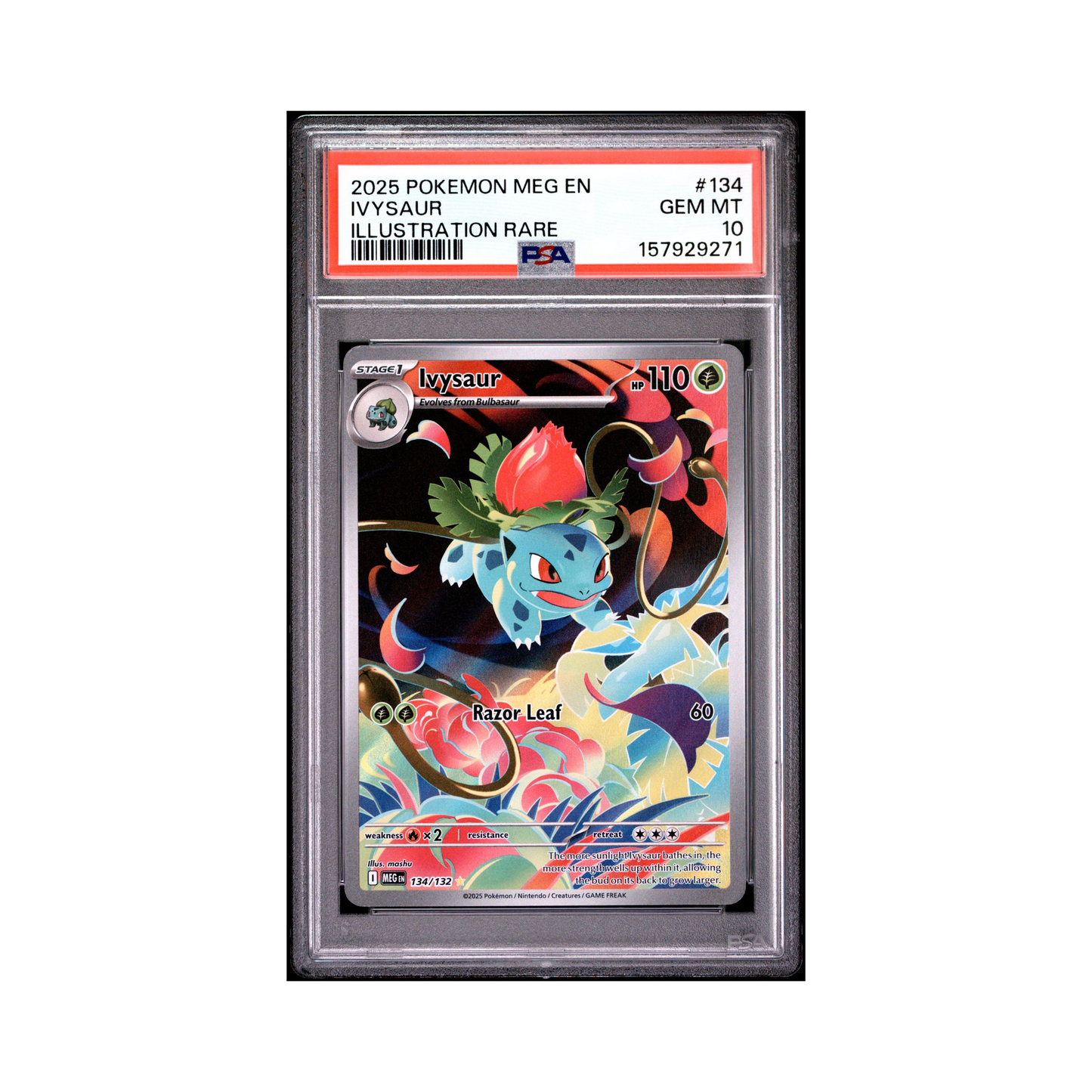 2025 Pokemon Mega Evolution Ivysaur #134 PSA 10