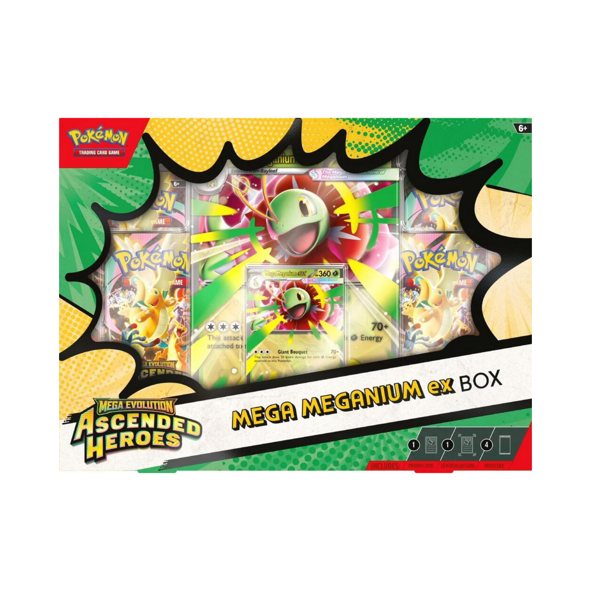 Ascended Heroes Mega Meganium ex Box – Common Lands