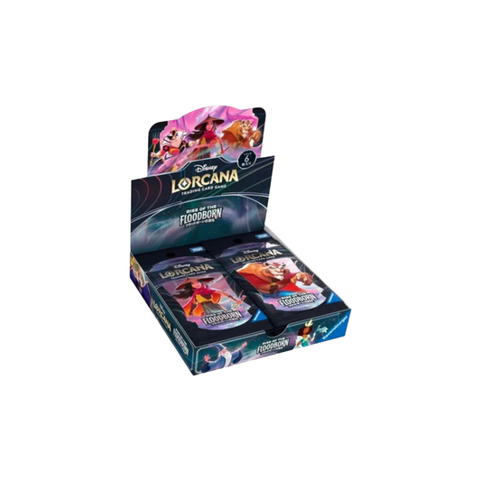 Lorcana Booster Box Common Lands Lorcana Booster Box Common Lands