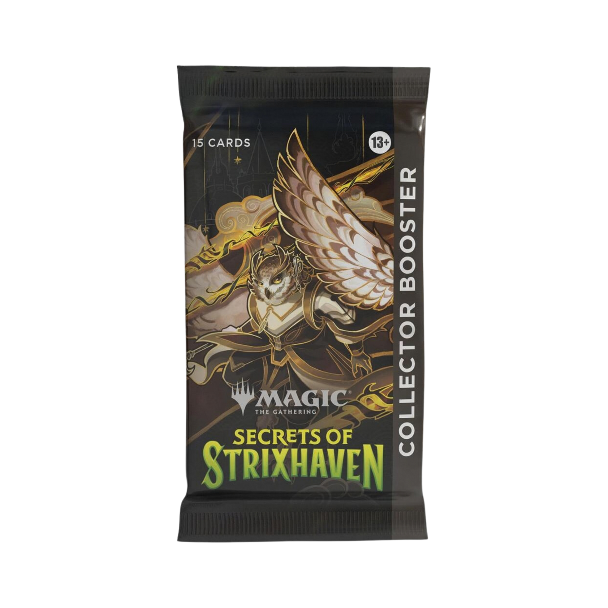 Secrets of Strixhaven Collector Booster Pack – Common Lands